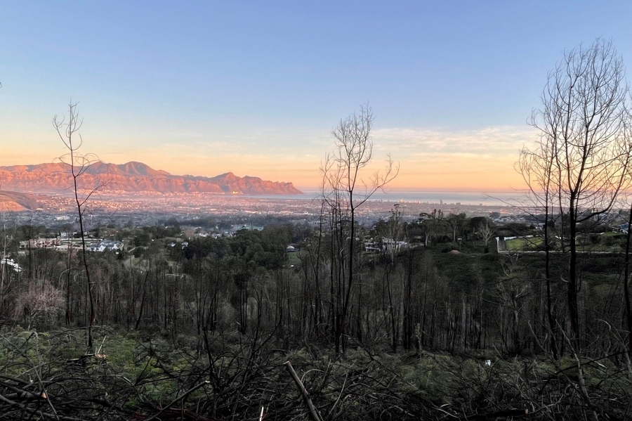 0 Bedroom Property for Sale in Spanish Farm Western Cape